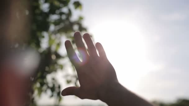 Raios de sol através dos dedos palma. Homem. Movimento lento — Vídeo de Stock