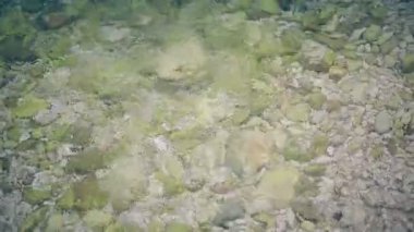Tatlı su ve sprey taşlar