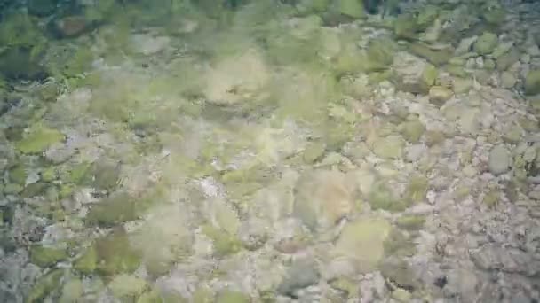 Камені у прісній воді та розпилювачі — стокове відео