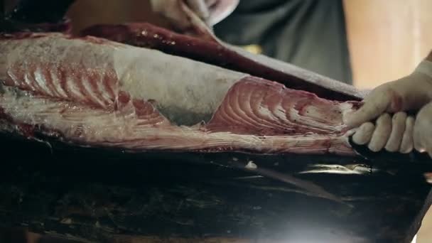 Fisk produktion killar klä av sig en kropp av stor svärdfisk rena från huden göra filé — Stockvideo