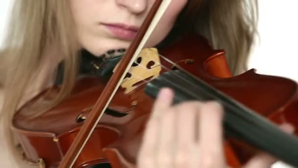 Ragazza violinista caucasica su uno sfondo bianco . — Video Stock