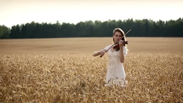 Chica violinista tocando el violín en el campo de trigo . — Vídeo de stock