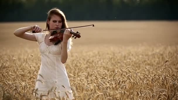 Violinista menina tocando violino no campo de trigo . — Vídeo de Stock