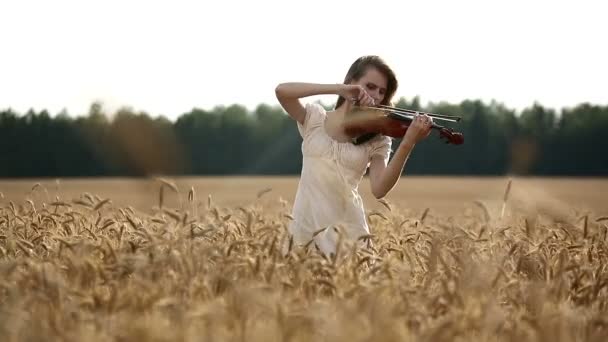 Violinista menina tocando violino no campo de trigo . — Vídeo de Stock