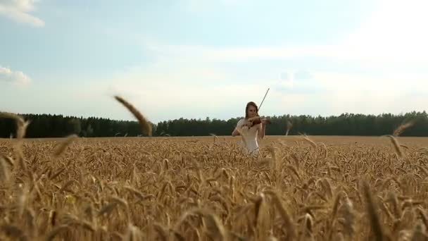 Violinista ragazza che suona il violino nel campo di grano . — Video Stock
