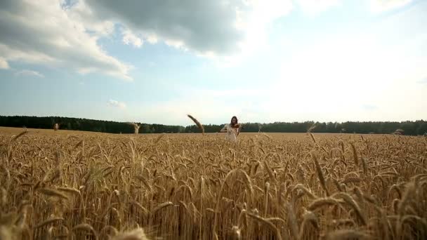 Скрипачка играет на скрипке на пшеничном поле . — стоковое видео