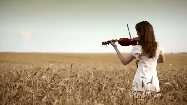 Lány hegedűművész hegedülni búza területén.