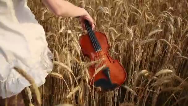 Chica violinista caminando por un campo de trigo. Movimiento lento — Vídeos de Stock