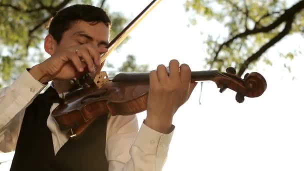 Violinista toca violino na natureza ao pôr do sol — Vídeo de Stock