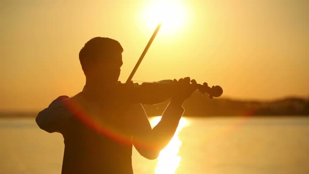 Скрипаль грає на скрипці на природі на заході сонця — стокове відео