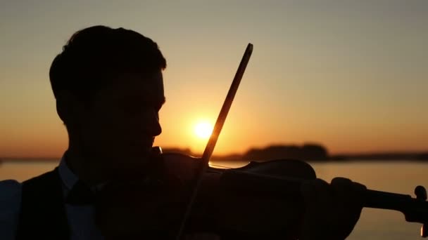 Geiger Mann spielt Geige auf der Natur bei Sonnenuntergang — Stockvideo