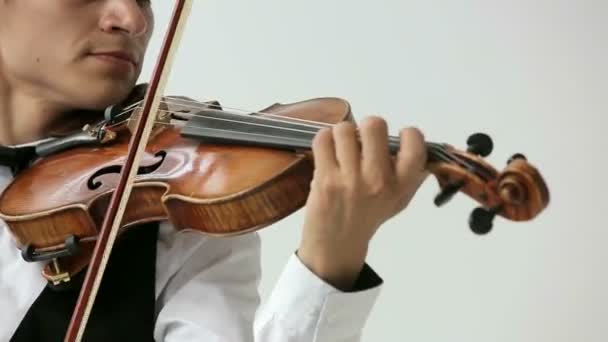Uomo violinista latino su sfondo bianco . — Video Stock
