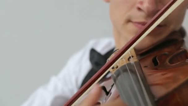 Uomo violinista latino su sfondo bianco . — Video Stock