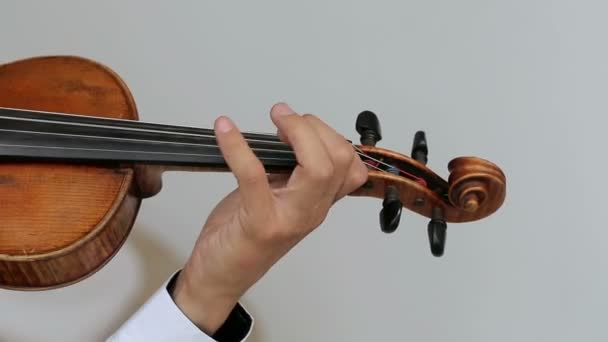 Latino violoniste homme sur un fond blanc . — Video