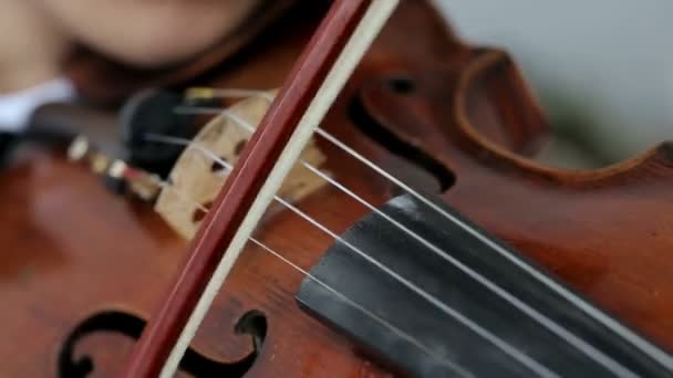 Latino violinista homem em um fundo branco . — Vídeo de Stock