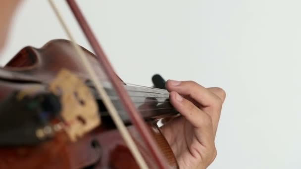 Hombre violinista latino sobre fondo blanco . — Vídeo de stock