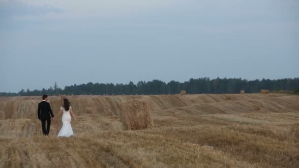 Amore coppia va su più pulito campo di grano sul campo sono visti pagliai — Video Stock