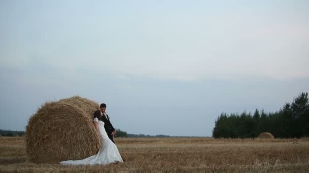 Любовь пара идет на чистую пшеничное поле на поле видны стоги сена — стоковое видео