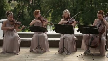 Müzikal dörtlüsü. Üç kemancı ve müzik çellist. Oturum anahtar kelime: uzhursky003