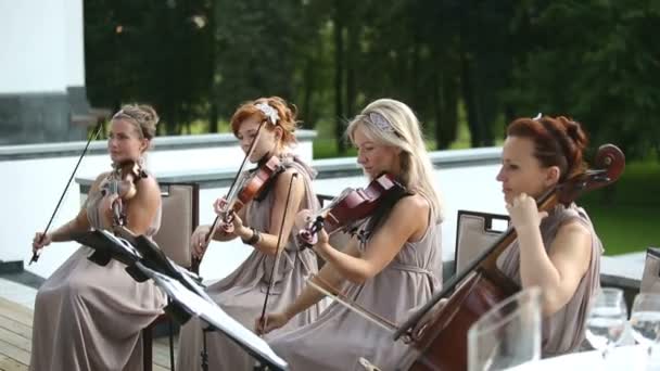 Musical quartet. Three violinists and cellist playing music.  SESSION KEYWORD: uzhursky003 — Stock Video