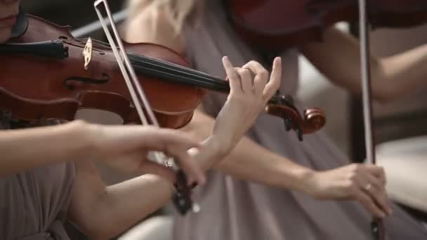 Musical quartet. Violinist plays against the sky. — Stock Video