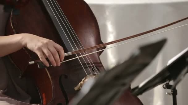 Musikaliska kvartetten. Flicka som leker cello i en kvartett av violinister. — Stockvideo