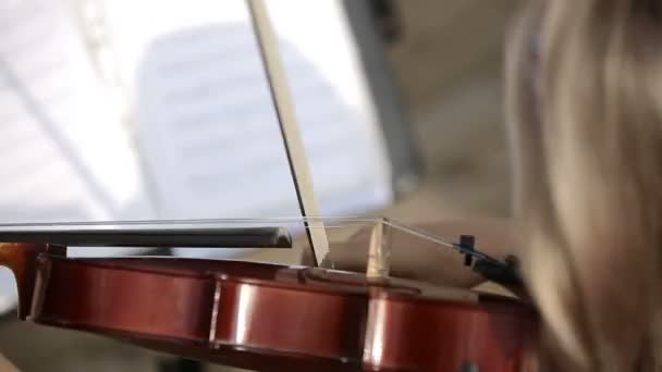 Μουσικό κουαρτέτο. Βιολιστής παίζει ενάντια στον ουρανό. — Αρχείο Βίντεο