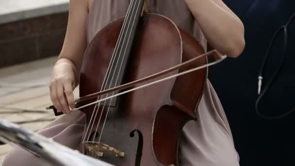 Cuarteto musical. Chica tocando el violonchelo en un cuarteto de violinistas . — Vídeos de Stock