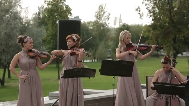 Музыкальный квартет. Три скрипача и виолончелист играют музыку. КЛЮЧЕВЫЙ СЕССИОН: uzhursky003 — стоковое видео