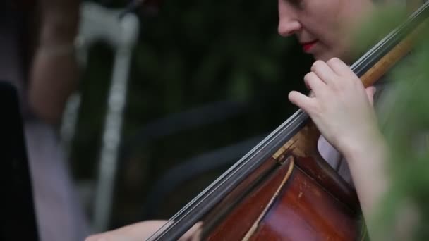 Musikaliska kvartetten. Flicka som leker cello i en kvartett av violinister. — Stockvideo