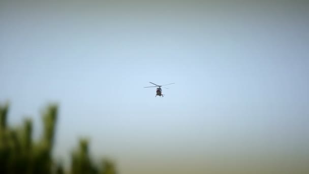 Vrtulník létání v nebi strom v popředí — Stock video