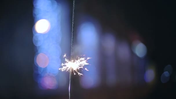 Sparkler arde en el fondo azul bokeh — Vídeo de stock