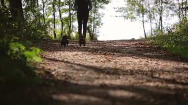 Ses ile video ormanda iki köpek ile kadın yürüyor