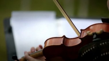 Sokakta Keman çalmaya müzisyen