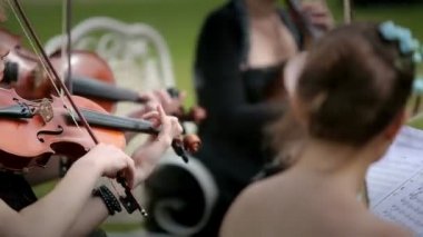 Müzikal dörtlüsü üç kemancı ve açık oynayan çellist