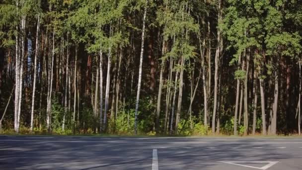 오른쪽에서 왼쪽 프레임에서 고속도로에 비싼 차 전달 — 비디오