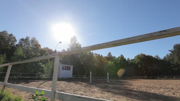 Mujer entrena caballo — Vídeos de Stock