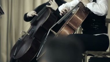 Çello konserde iki çellist oynamak parmaklar