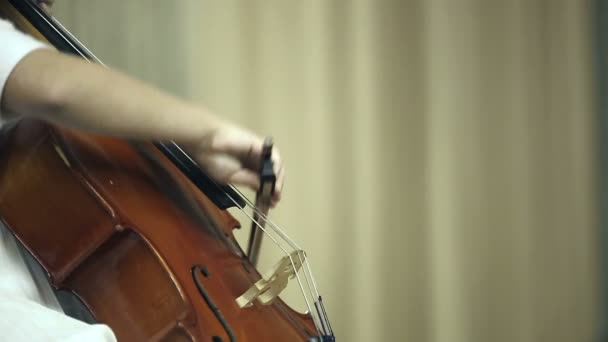 Жінка грає на віолончелі — стокове відео