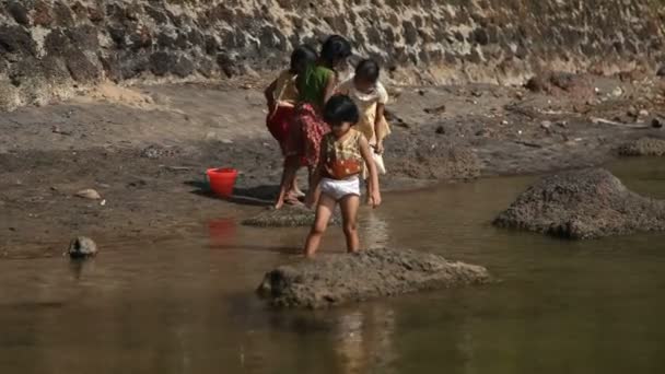 INDIA, GOA - 2012: Indian children girls play in the water — Stock Video