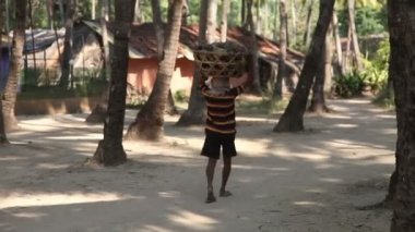 Hintli adam hindistancevizi bir sepet başına taşır.