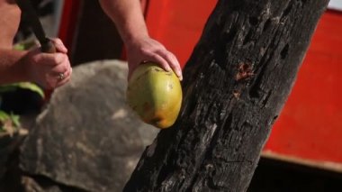 Adam içki suyu için taze hindistan cevizi doğrama. Atış sırası 2