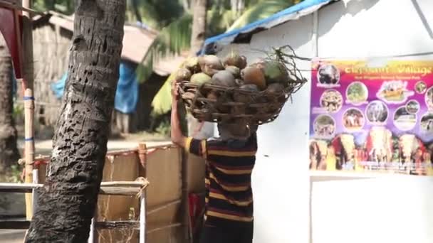 Indie, Goa - 2012: Indický muž nese koš kokosy na hlavě — Stock video