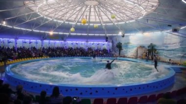 Belarus, Minsk - 2014: Yunuslar dolphinarium içinde göster