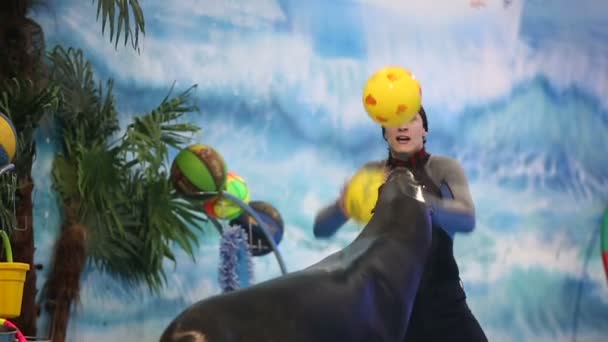 Weißrussland, Minsk - 2014: Pelzrobbenshow im Delfinarium mit Instruktor. Zeitlupe — Stockvideo