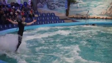 Belarus, Minsk - 2014: Yunuslar dolphinarium içinde göster