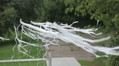 Bir rüzgar üzerinde Ipek kurdele