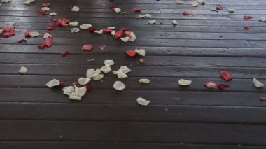 Bir ahşap zemin üzerinde gül yaprakları. Slider ile vurdu Hd