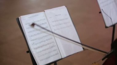 Müzisyen oyun viyolonsel