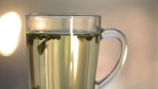 Hot water over tea in transparent glass cup — Stock Video